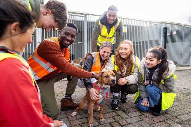 What are the key challenges faced by animal rescue volunteers?